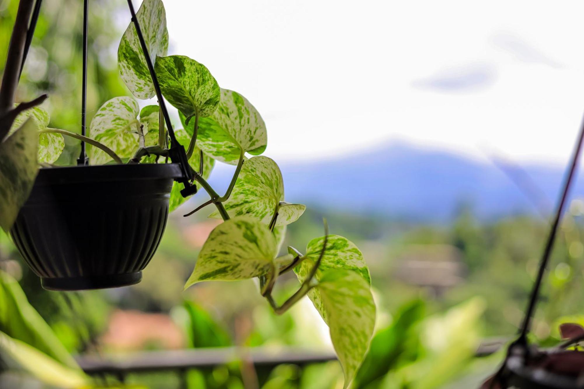 Cielo Residence Kandy Zewnętrze zdjęcie