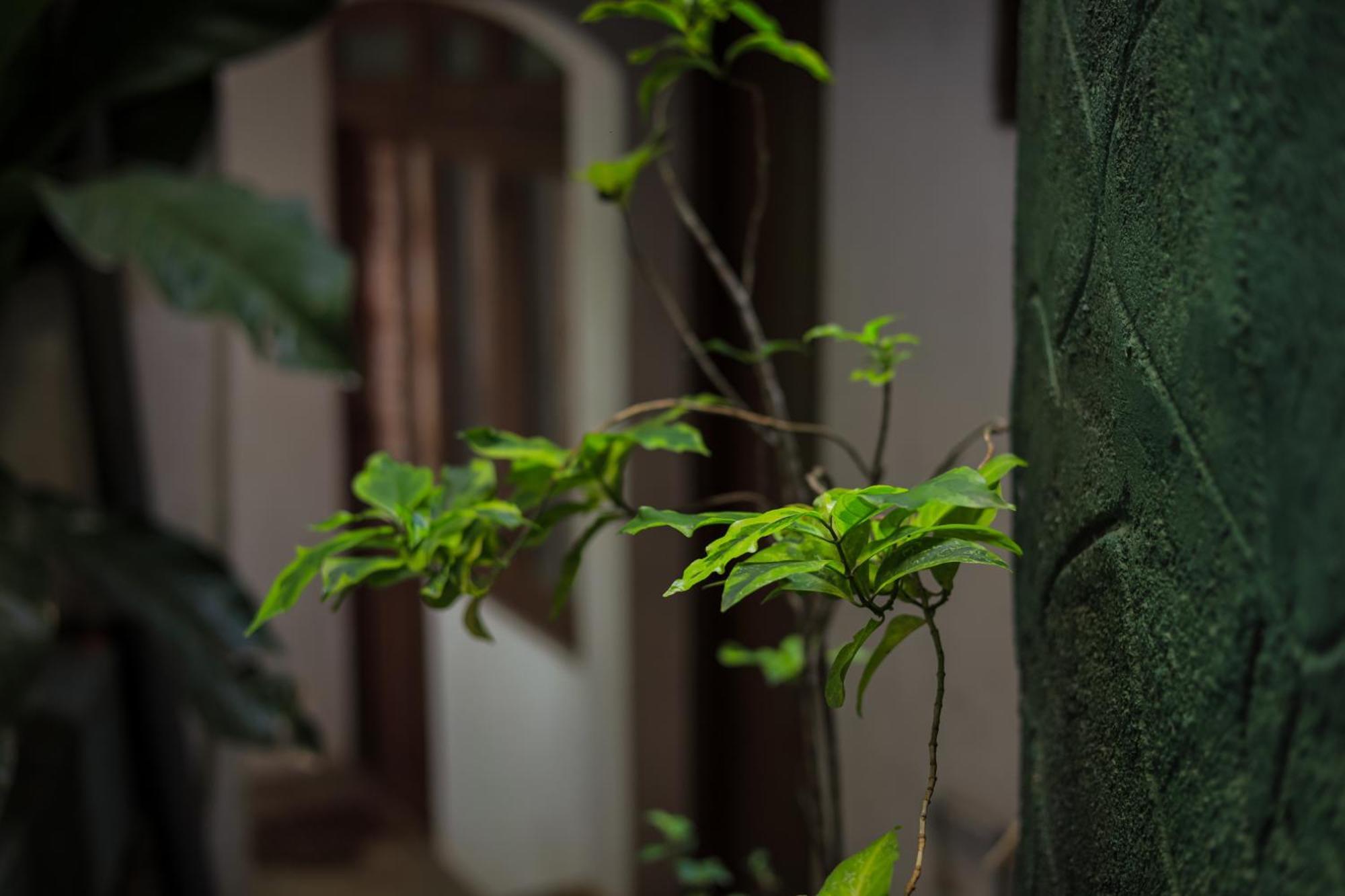 Cielo Residence Kandy Zewnętrze zdjęcie