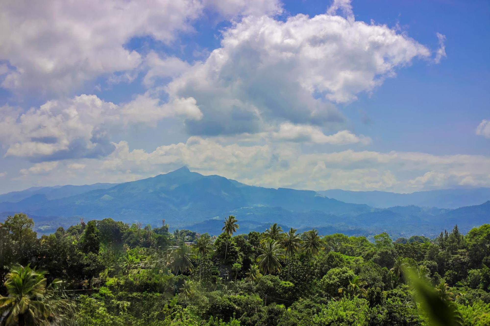 Cielo Residence Kandy Zewnętrze zdjęcie